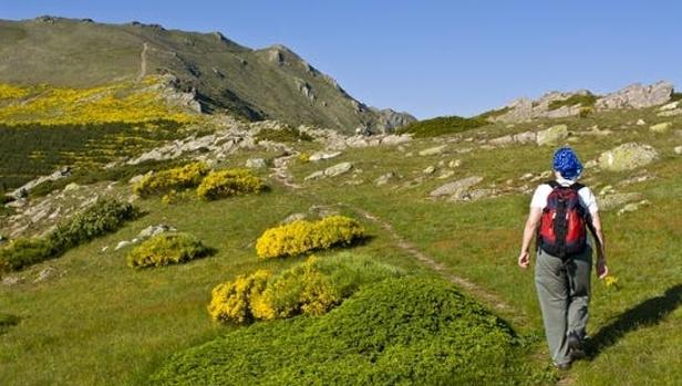 Dos montañeros son rescatados en el Pico Cebollera tras pasar la Nochevieja a la intemperie