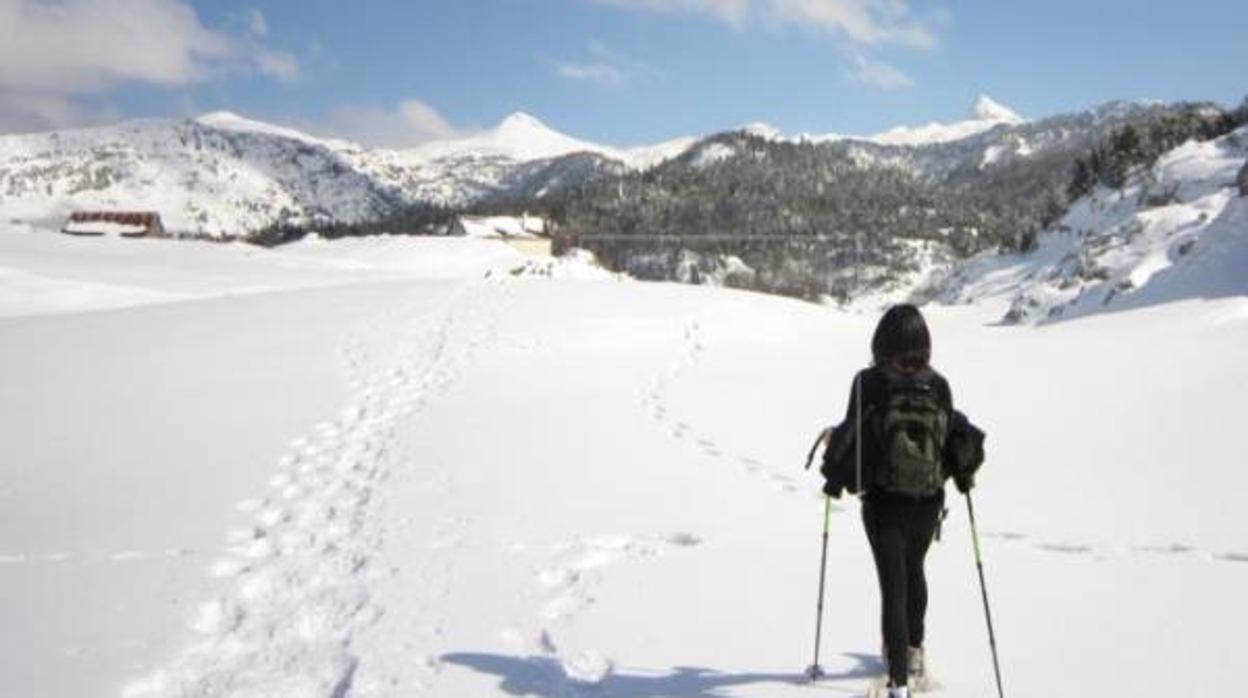 Imagen de nevada en el Pirineo de Navarra.