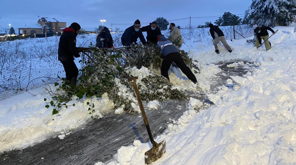 Un grupo de vecinos retira parte de un árbol este sábado