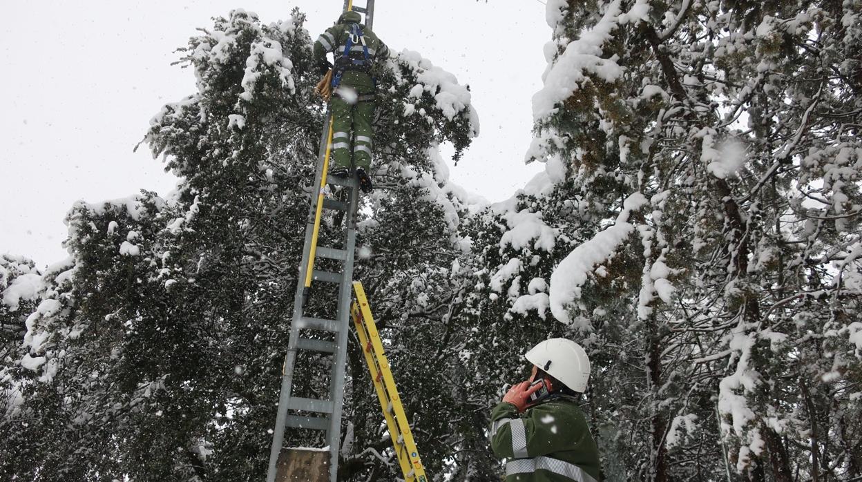 Operarios de Iberdrola en una de as reparaciones