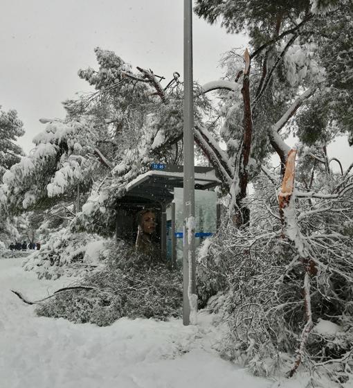 Parada de EMT junto a la Colonia de Lourdes