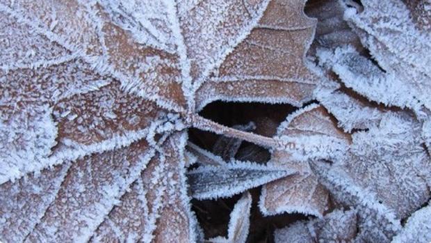 Valladolid marca una de las mínimas de España: -13,9 grados