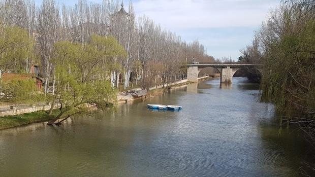 Buscan en el Duero a una desaparecida en Aranda (Burgos) que pudo caer al tratar de rescatar a su perro