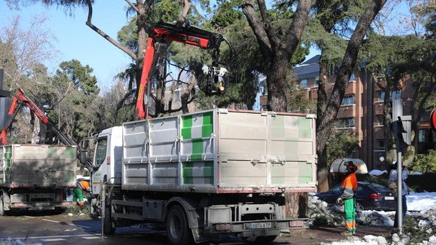 Alerta por lluvias y viento en Madrid: las 48 horas «decisivas» del Ayuntamiento para evitar otro colapso