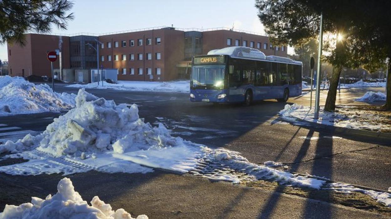 Vista del campus de la Universidad de Alcalá tras la nevada caída en Madrid / Guillermo Navarro