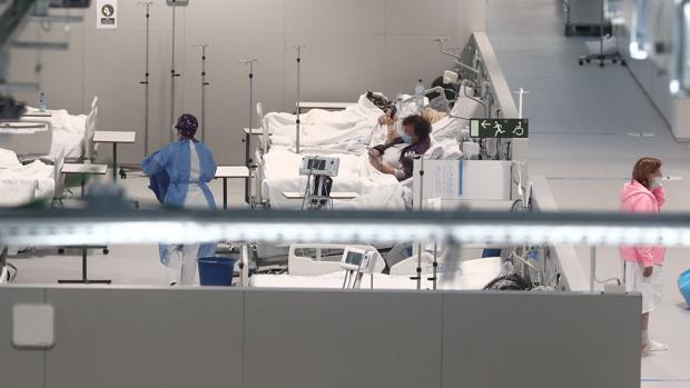 Madrid registra 683 nuevos positivos, más de 200 ingresos y 44 fallecidos por Covid