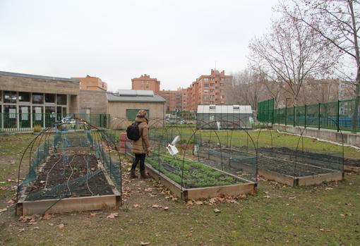 El huerto del CEIP Miguel Delibes de Valladolid forma parte de su proyecto docente