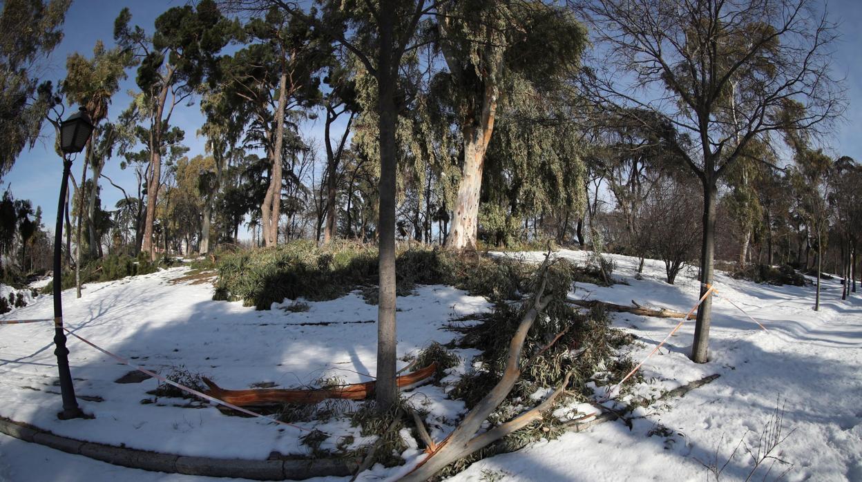 El parque del Retiro, tras la histórica nevada