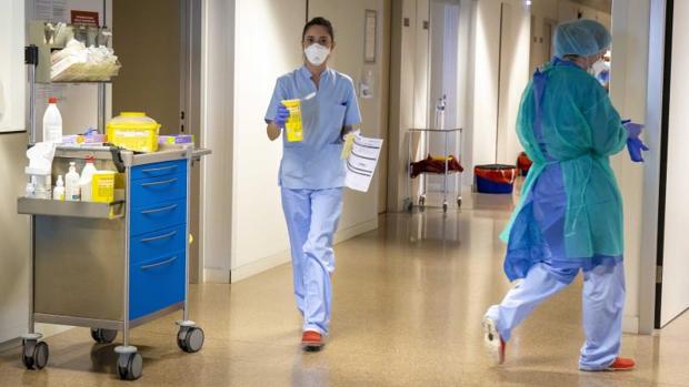 Coronavirus en Valencia: sigue el aumento de contagios con 8.630 casos y noventa muertes en un día