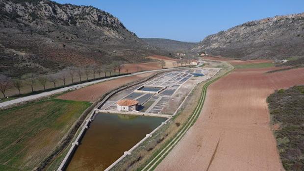 Filomena agota las salinas de San Juan, que dieron salida a casi 300 toneladas de sal