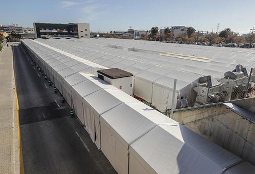 Imagen del hospital de campaña anexo a La Fe de Valencia