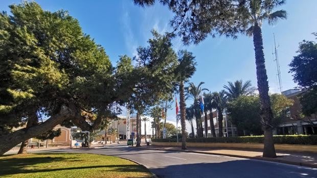 El Puerto de Alicante estudia dedicar una calle al empresario Perfecto Palacio de la Fuente