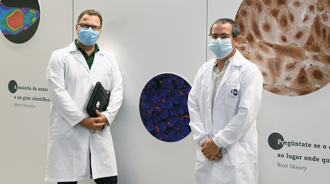 Federico Martinón y Antonio Salas, responsables del equipo de investigadores