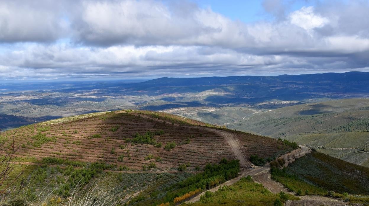 Sierra de Gata (Salamanca)