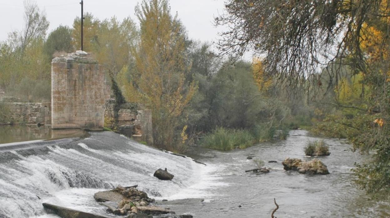 El río Duero a su paso por San Miguel del Pino (Valladolid) en una imagen de archivo