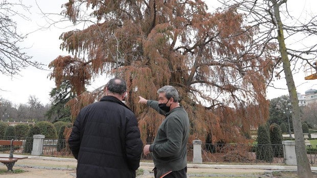 Estas son las zonas del Retiro abiertas al público