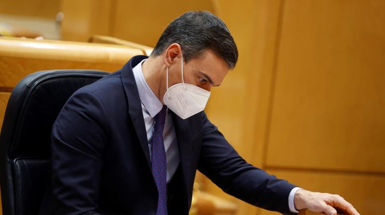 El presidente del Gobierno, Pedro Sánchez, esta tarde en la sesión de control al Gobierno en el Senado