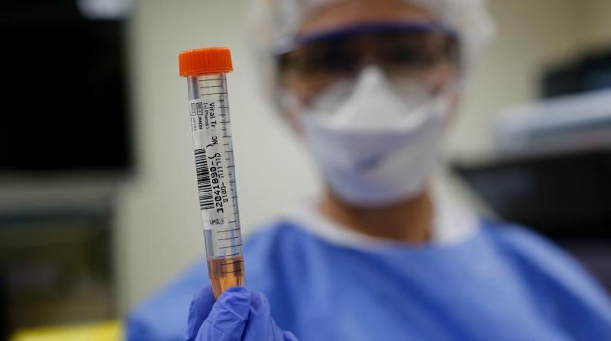 En Aragón se estima que la prevalencia de la cepa británica es, de media, del 8%. En Zaragoza capital, del 5%