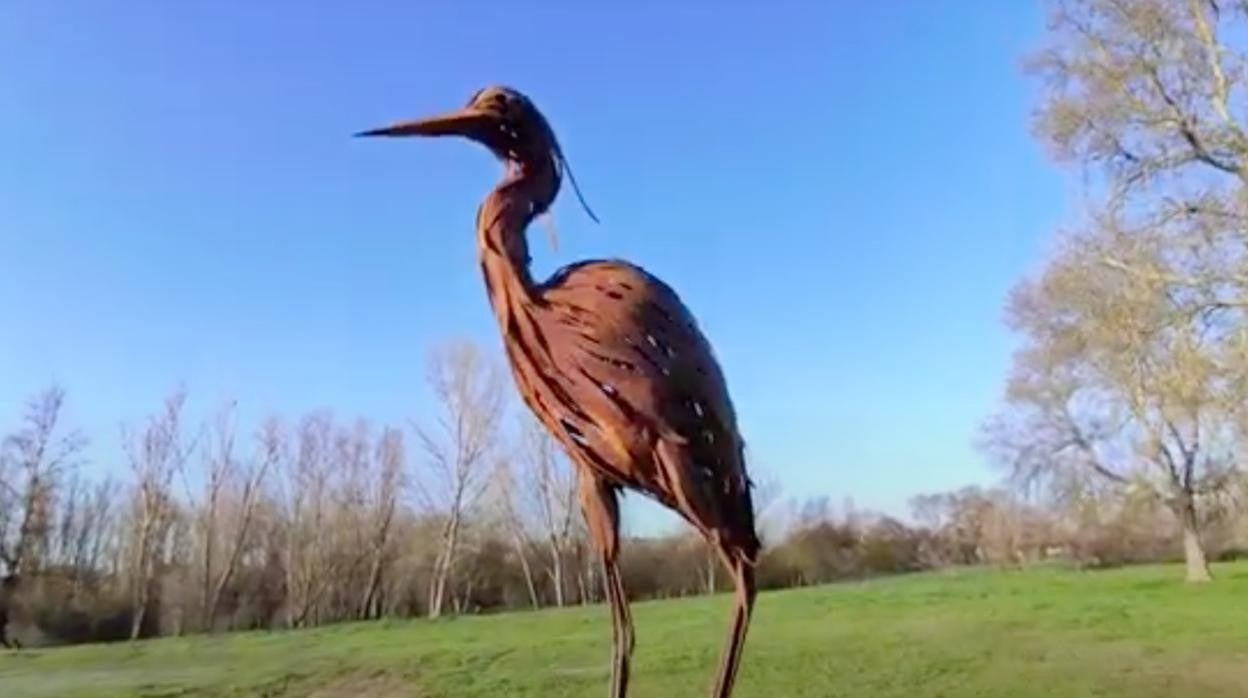 Garza en la Isla del Soto