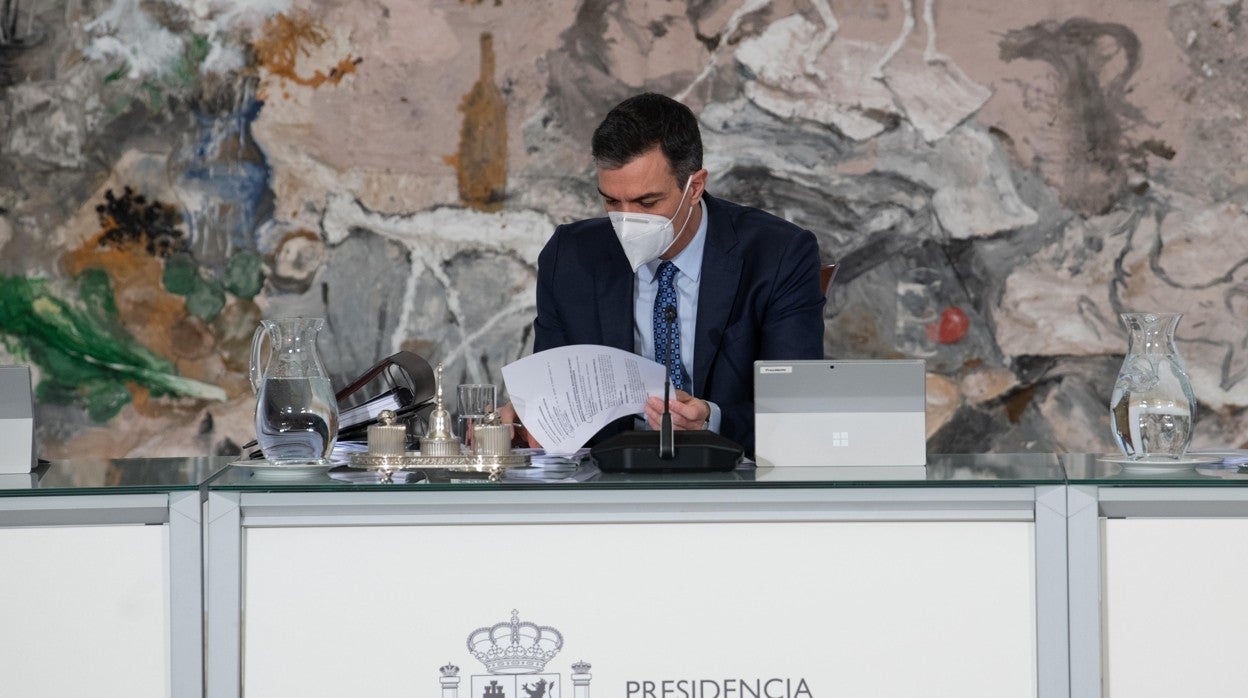 Pedro Sánchez, hoy, en el Consejo de Ministros