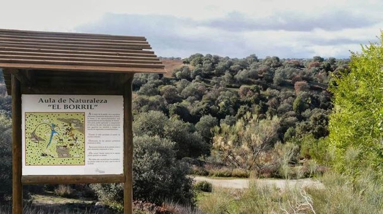 El Aula de la Naturaleza se abrirá con todas las garantías