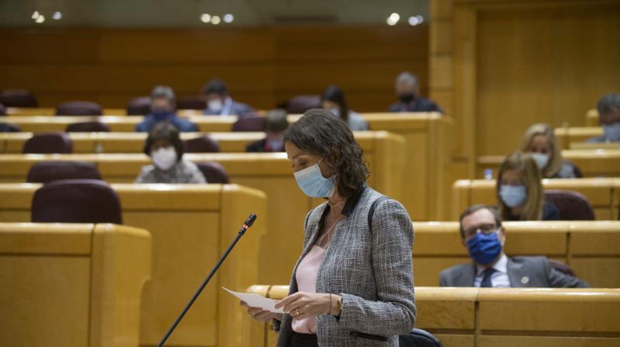 La ministra de Industria, Comercio y Turismo, Reyes Maroto, durante una sesión de control en el Senado