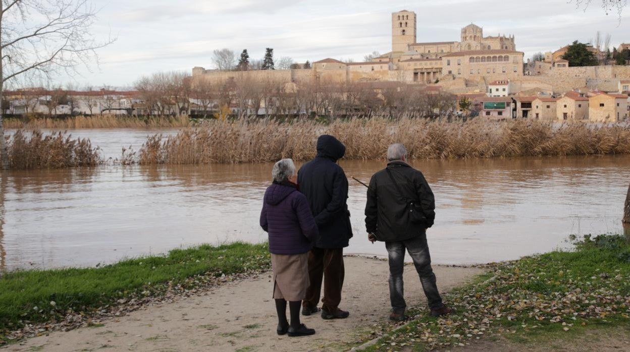 El río Duero a su paso por Zamora en una imagen de archivo