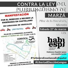 Cartel de la manifestación