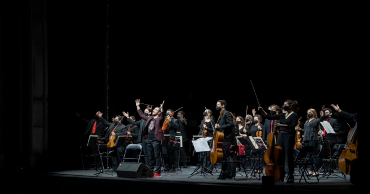 La orquesta Camerata Musicalis