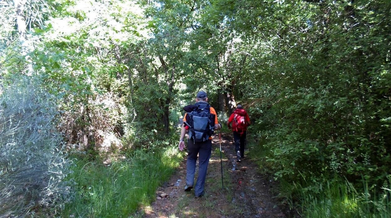 Dos peregrinos en el Camino Olvidado a su paso por la comarca del Bierzo, donde se une al Camino Francés