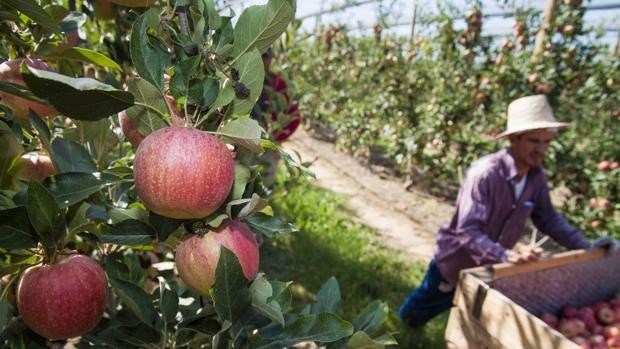 Muere atragantado con un trozo de fruta en Lugo