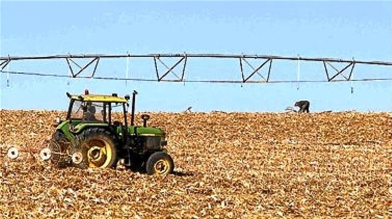 «Villarrubia de los Ojos, sin agua, se muere», la queja de los agricultores a la CHG