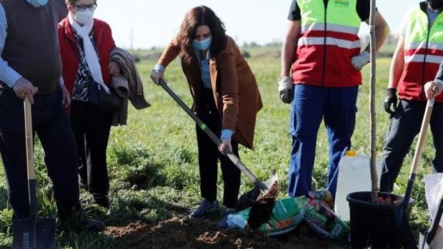 Ayuso: «Gabilondo es un mentiroso, la subida de impuestos está detrás de su proyecto aunque diga que no»