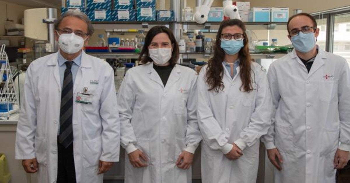 El doctor Josepo Maria Llovet (izquierda) junto a los miembros de su equipo en el Idibaps