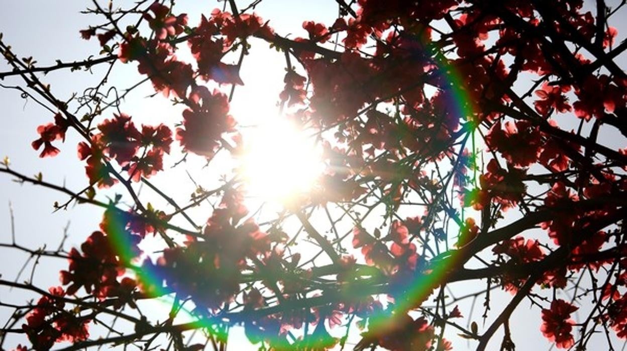 Fotografía del comienzo de la primavera en el Bierzo