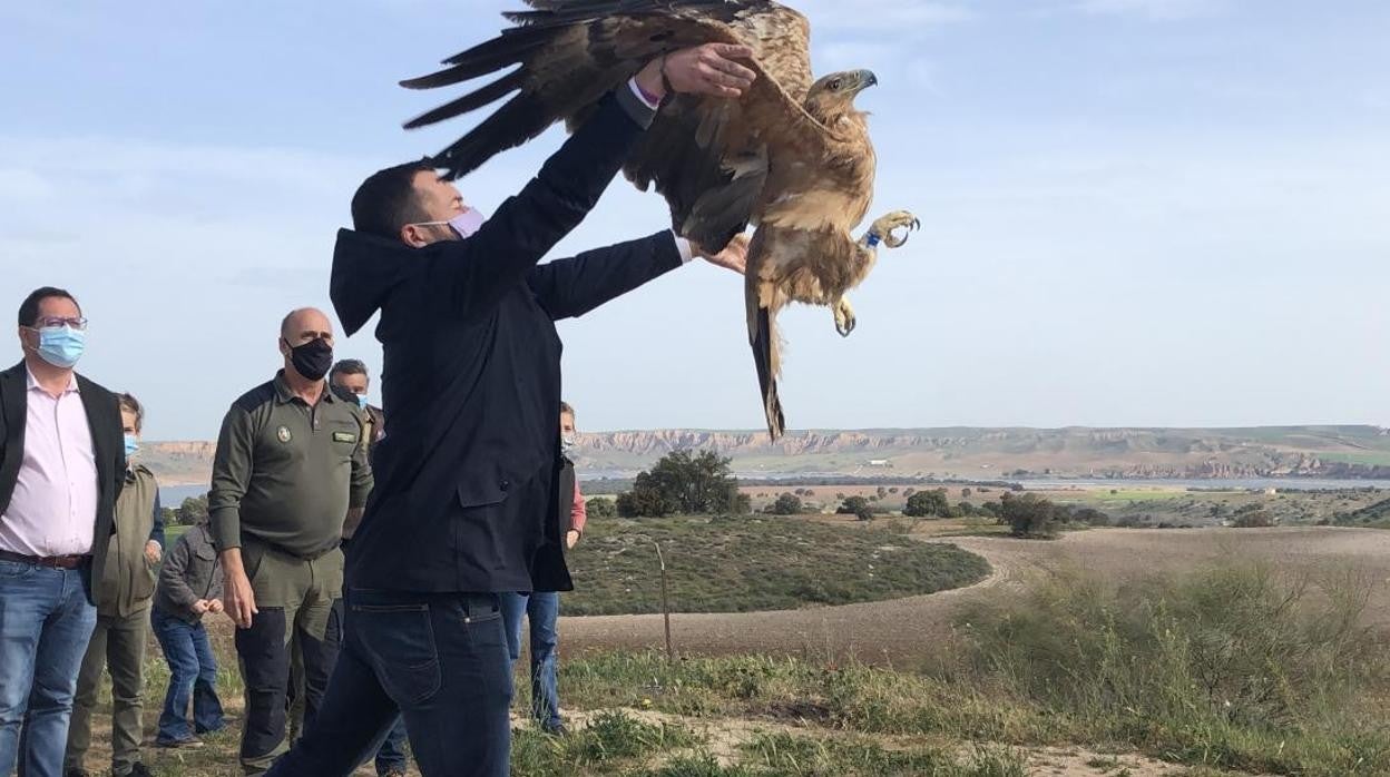 Escudero suelta el águila imperial