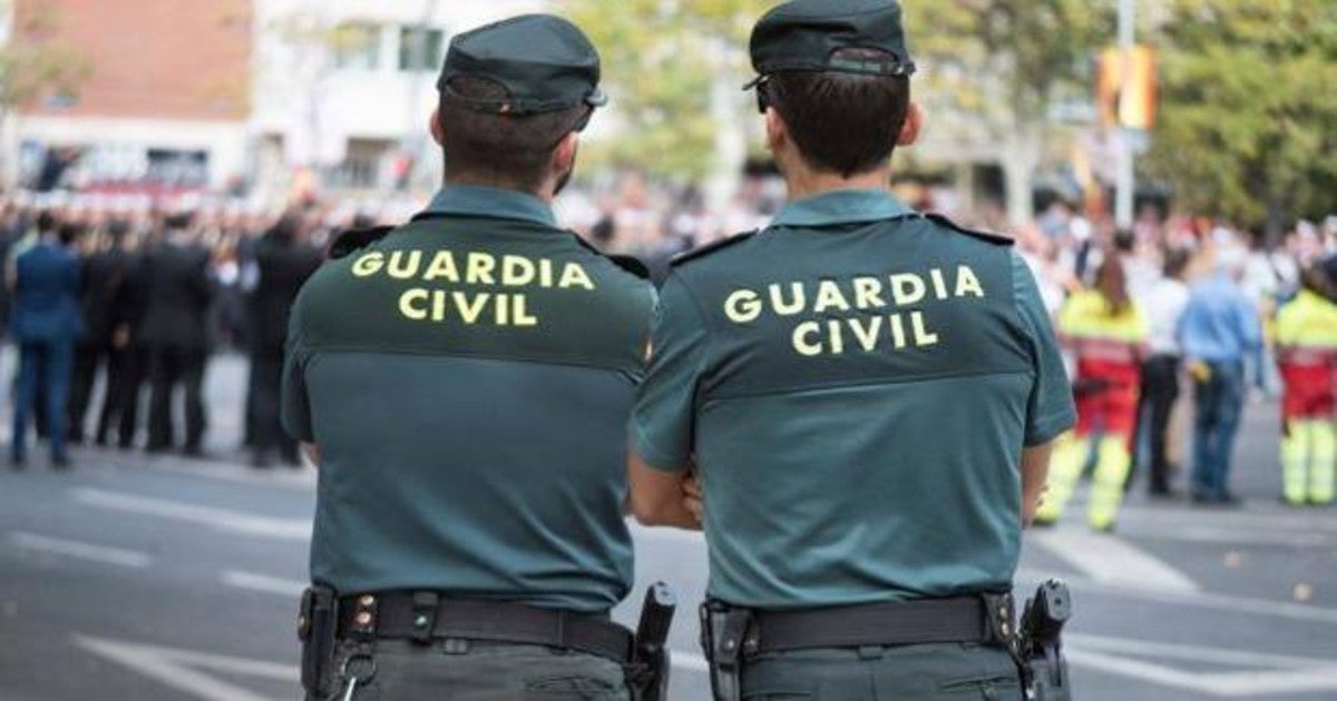 Agentes de Guardia Civil de Navarra y Alicante colaboraron en la operación.