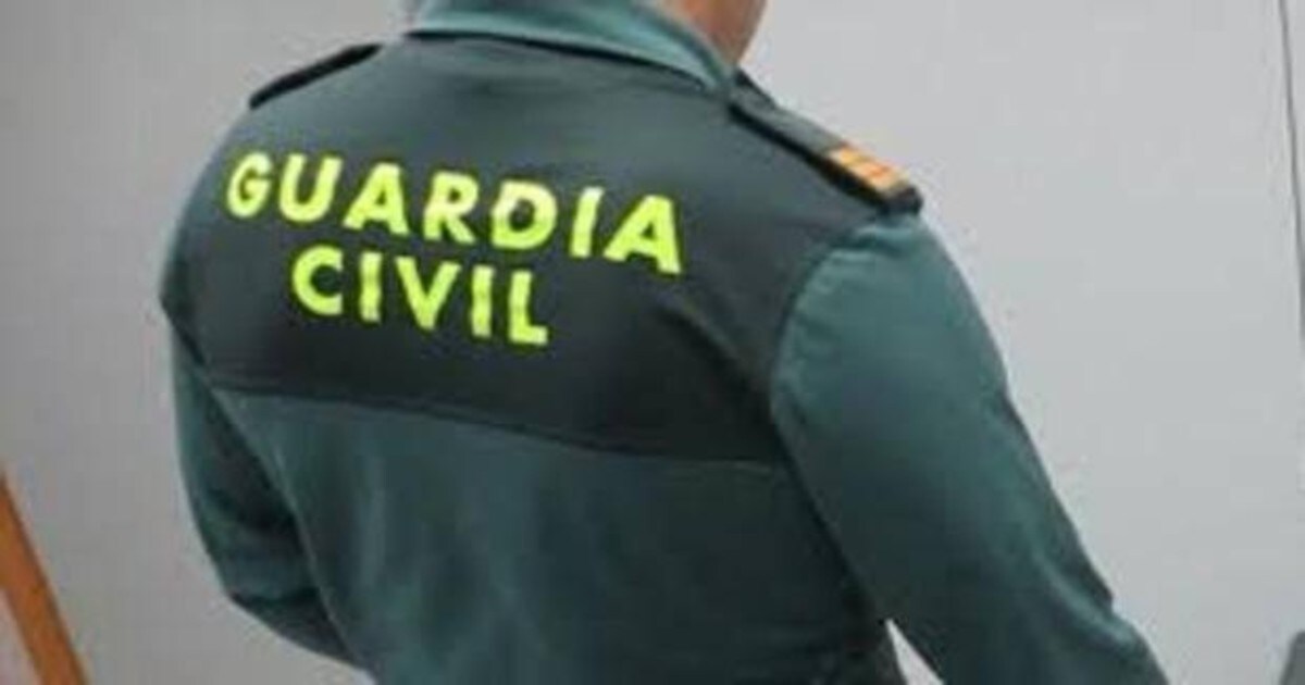 Agentes de Guardia Civil de Navarra y Alicante colaboraron en la operación.
