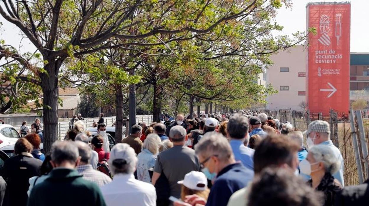 Colas de personas en esperar para ser vacunadas en La Fe de Valencia