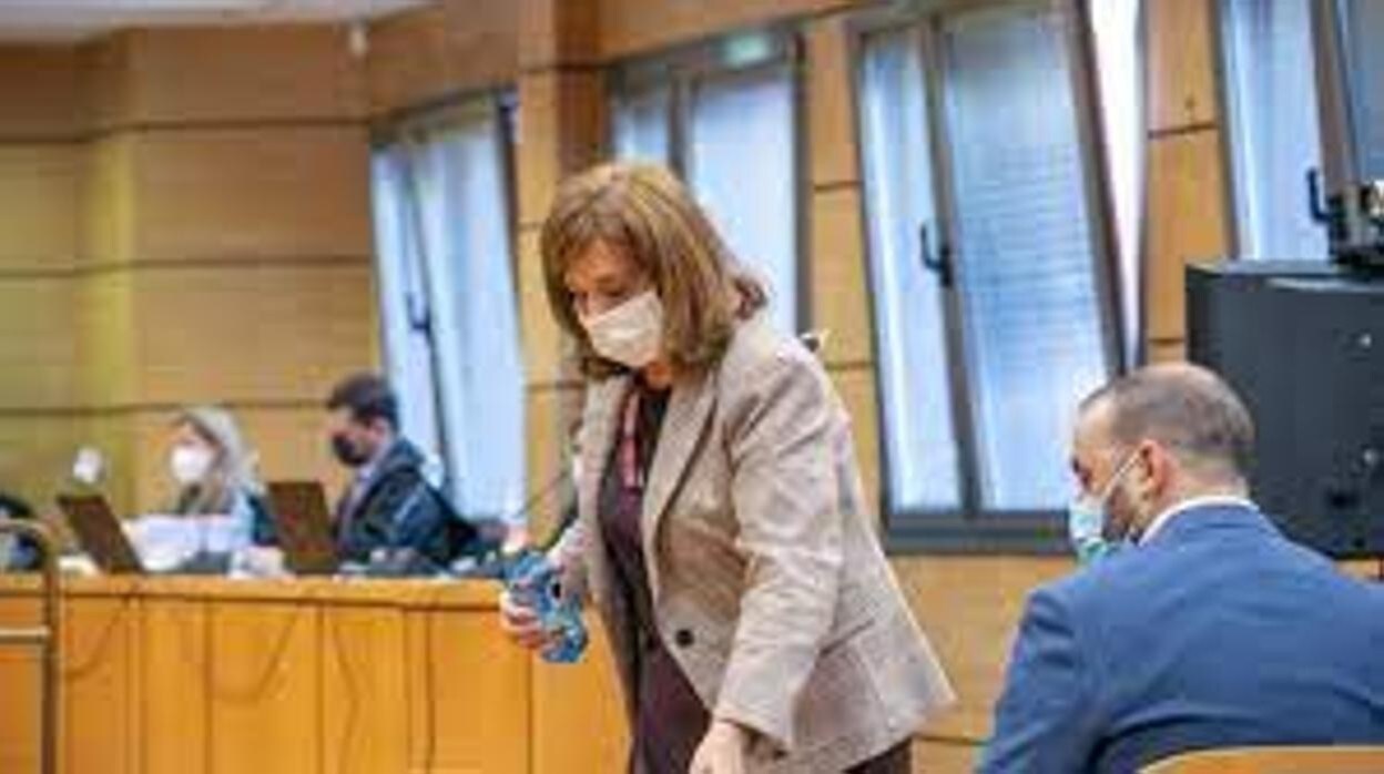 La alcaldesa de Argamasilla de Calatrava, en el juicio: «Hice todo lo que pude para solucionar el problema»
