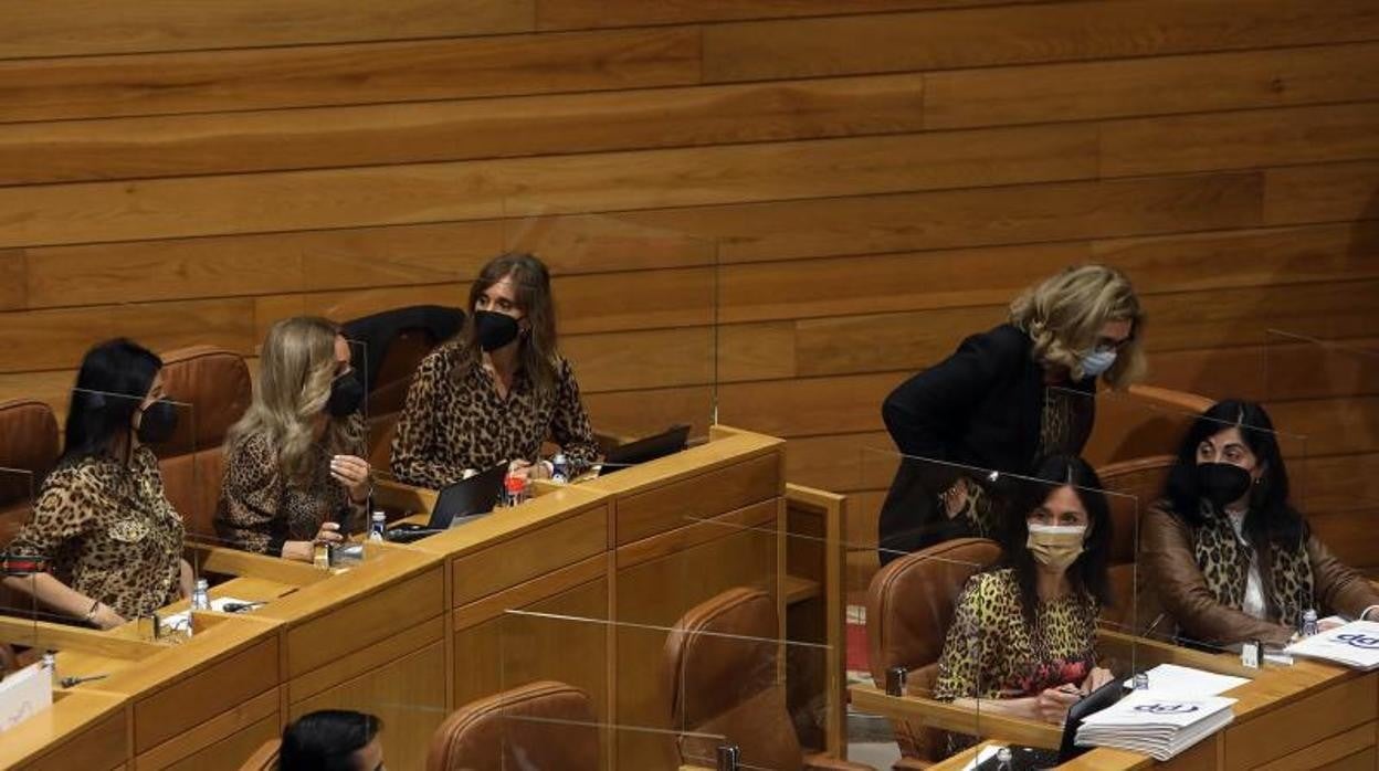 Las diputadas del PP se visten de leopardo en protesta contra José Tomé