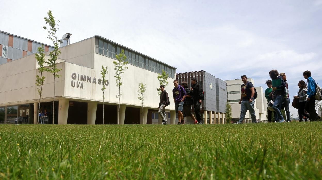 Universitarios en uno de los campus de la Universidad de Valladolid en una imagen de archivo