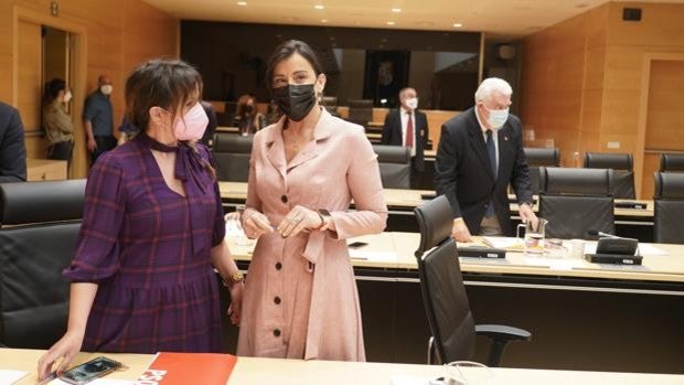 Cs y PP censuran que el PSOE use el ingreso por Covid de un procurador para hacerse con la comisión de las eólicas