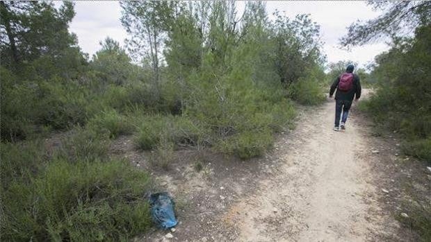 Hallan restos óseos de tres personas enterrados en un sendero de Picassent