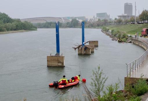 Tramo del Ebro donde desapareció el niño. Al fondo, los edificios de la Expo de 2008