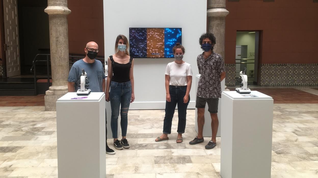 Los ganadores de la última edición del premio de arte Santa Isabel fueron Susana Ballesteros y Jano Montañés por su instalación 'Geno-Roots'. Además, Víctor Solanas-Díaz logró el accésit por 'Between categories'