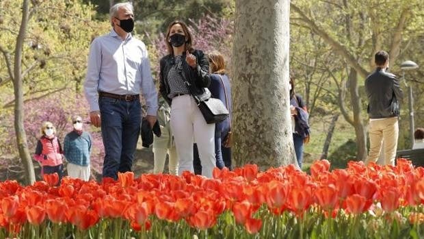 Zaragoza lanza «ZGZ Florece», su primer gran festival dedicado al arte de las flores