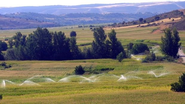 Castilla-La Mancha aprueba ayudas para la mejora de explotaciones agrarias por 70 millones de euros