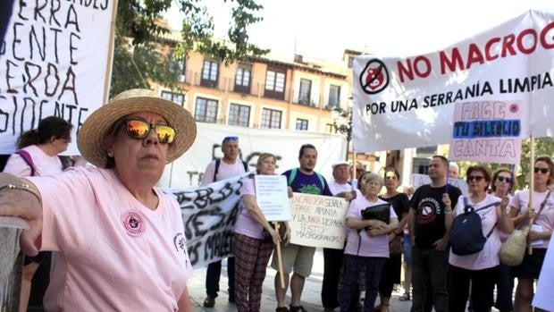 Stop Macrogranjas se concentrará en Toledo para pedir una moratoria de proyectos de ganadería industrial