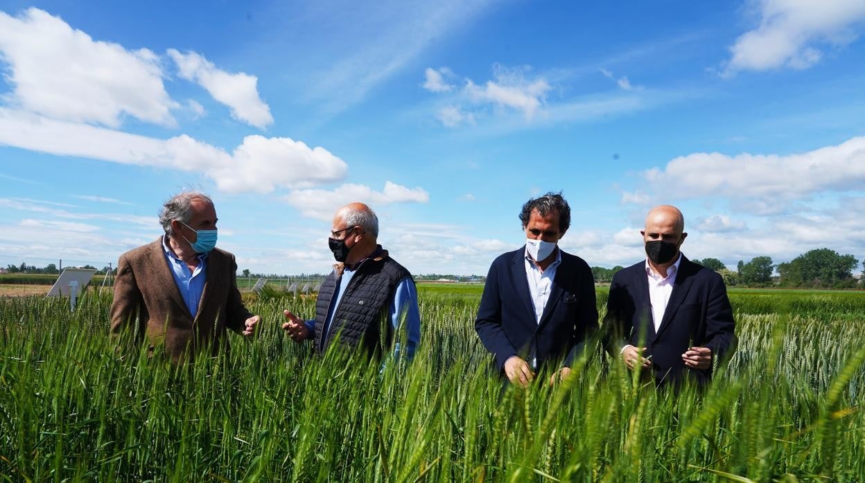 Presentación de los resultados de los diferentes ensayos agrarios llevados a cabo en el Itacyl